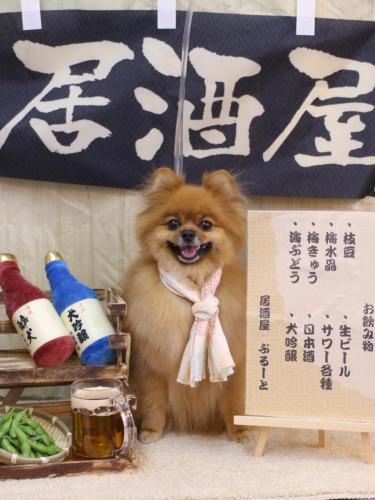 20240611ルルちゃん